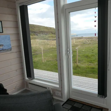 Apartment Bird View Oystercatcher
